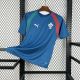 2026 Portugal Blue Training Jersey/2026 葡萄牙宝蓝训练服