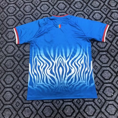 2026 Congo  Blue Jersey/ 2026 刚果蓝色球迷