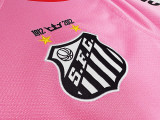2013 Santos Pink Retro Jersey/2013桑托斯粉色衣服