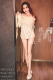 WM Doll TPE Material Love Doll 165cm/5ft4 D-cup with Head #70