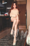 WM Doll TPE Material Love Doll 165cm/5ft4 D-cup with Head #70