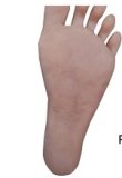 Jarliet Doll TPE Material Love Doll 156cm/5ft1 B-cup with #1 Head