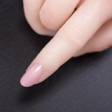 GD Sino Doll 160cm/5ft3 C-cup Silicone Sex Doll with Head G3