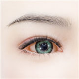 Ture Idols AV actress Aika Yamagishi supervised 162cm/5ft3 F-cup Full Silicone Sex doll