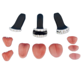 WM Doll Anime doll TPE Material Sex Doll 146cm/4ft8 C-Cup Doll with Mini Head #Y001