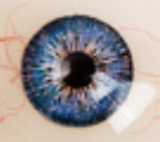 Only Love Sex Doll 158cm/5ft2 E Cup #J Silicone head+TPE body- White top pink skirt