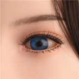 WAXDOLL Silicone Doll 165cm(5.41 ft) E-cup Full Size Lifelike Sex Doll with #GE04 Head