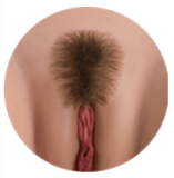 WM Doll TPE Material Sex Doll 159cm/5ft3 C-Cup with Head #230