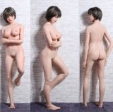 Sino Doll&GDsinodoll Head and body free combination page