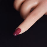 WAXDOLL Silicone Doll 165cm(5.41 ft) E-cup Full Size Lifelike Sex Doll with #GE77-1 Head