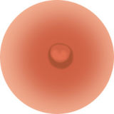 Game Lady Full silicone 167cm/5ft5 D-cup No.3 head with realistic makeup eyebrows and eyelashes implanted