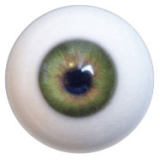 DOM DOLL D2 Silicone head 148cm/4ft9 C-cup love doll (head and body material selectable)