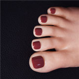 ZELEX Silicone Doll 165cm(5.41 ft) E-cup Full Size Lifelike Sex Doll with #GE81 Head