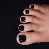 ZELEX Silicone Doll 165cm(5.41 ft) E-cup Full Size Lifelike Sex Doll with #GE81 Head