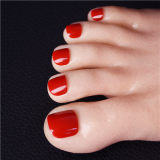 ZELEX Silicone Doll 165cm(5.41 ft) E-cup Full Size Lifelike Sex Doll with #GE81 Head