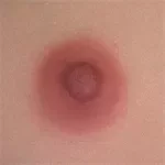 WAXDOLL Full silicone sex doll 110cm/3ft6 AA-cup #GB58 head with realistic body makeup- Skin Color Natural