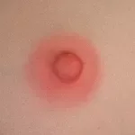 WAXDOLL Full silicone sex doll 110cm/3ft6 AA-cup #GB58 head with realistic body makeup- Skin Color Natural