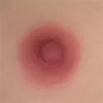 WAXDOLL Full silicone sex doll 110cm/3ft6 AA-cup #GB58 head with realistic body makeup- Skin Color Natural