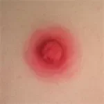 WAXDOLL Full silicone sex doll 110cm/3ft6 AA-cup #GB58 head with realistic body makeup- Skin Color Natural