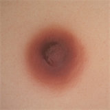 WAXDOLL 7kg Full Silicone Love doll 85cm/2ft8 flat breast doll #GF05 head with realistic make-up