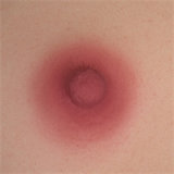 WAXDOLL Full silicone sex doll 120cm/3ft9 AA-cup #G34 head with realistic body makeup- Skin Color Natural