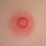 WAXDOLL Full silicone sex doll 120cm/3ft9 AA-cup #G34 head with realistic body makeup- Skin Color Natural