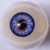 Sanmu doll Sex doll Silicone #S61 head +TPE 163cm F-cup body