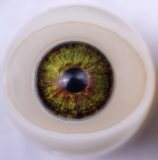 Sanmu doll Sex doll Silicone #S19 head +TPE 148cm/4ft9 B-cup body