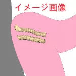 Tayu Doll Full Silicone Sex Doll 70cm/2ft9 E-cup 18kg Torso with #A6 Head with normal face makeup and M16 bolt