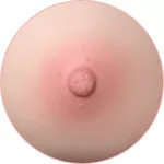 Tayu Doll Full Silicone Sex Doll 88cm/2ft9 E-cup 18kg Torso with #A10 Head with normal face makeup and M16 bolt