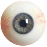 FANREAL 153 cm/5ft B-Cup F8 Mo Head Full Size Lifelike Silicone Sex Doll Swimming suit