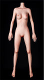 FUDOLL【Special sale： Buy TPE Dolls, Articulated finger joint FREE!】7.14-8.31