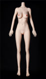 FUDOLL【Special sale： Buy TPE Dolls, Articulated finger joint FREE!】7.14-8.31