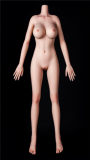 FUDOLL【Special sale： Buy TPE Dolls, Articulated finger joint FREE!】7.14-8.31