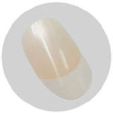 Angelkiss 150cm C-cup #27 head full silicone realistic sex doll