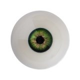 Irontech Doll TPE Sex Doll 164cm/5.4ft G-cup S18 Head