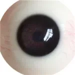 FANREAL 170 cm/5ft6 G-Cup Full Size Lifelike Silicone Sex Doll with Della Head Blonde