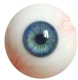 FANREAL 170 cm/5ft6 G-Cup Full Size Lifelike Silicone Sex Doll with Maria Head Black T-shirt