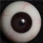 ZELEX Full silicone sex doll 175cm E-cup #GE16_1 head with movable jaw Natural Skin