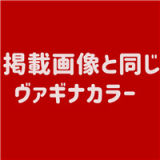 Nornom Doll 165cm C-cup Tammy head Full Silicone Sex Doll