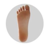 Angelkiss 165cm E-cup #LS10 head full silicone realistic sex doll