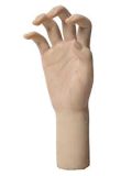 Angelkiss 165cm E-cup #LS23 head full silicone realistic sex doll