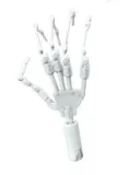 Cosdoll Sex doll 168cm/5ft5 Large Breast I-cup #16 head selectable head material and body height