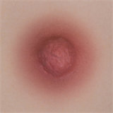 Yearndoll Y206-5 head 165cm C-cup 【Regular Version】latest work with mouth open/close function silicone head life-size sex doll