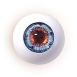 Climax Doll CLM  Full Silicone Mini Sex Doll Si60 L Momoko Head (Blue)