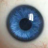 FANREAL 155 cm/5ft1 F-Cup Anna Head Full Size Lifelike Silicone Sex Doll