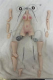 Mini doll sexable Xiaohuang 44cm normal breast BJD TPE costume selectable