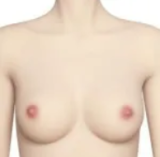 Doll Senior 01 Nichang Head 168cm F-cup Full Silicone Sex Doll with Body Make-up