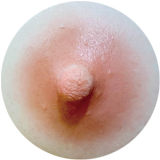 XTDOLL 【3.1-3.31】Buy a full silicone doll, get additional head 50% off  and free options