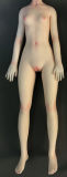 Mini doll sexable 60cm/2ft big breast silicone Xiangbo head costume selectable